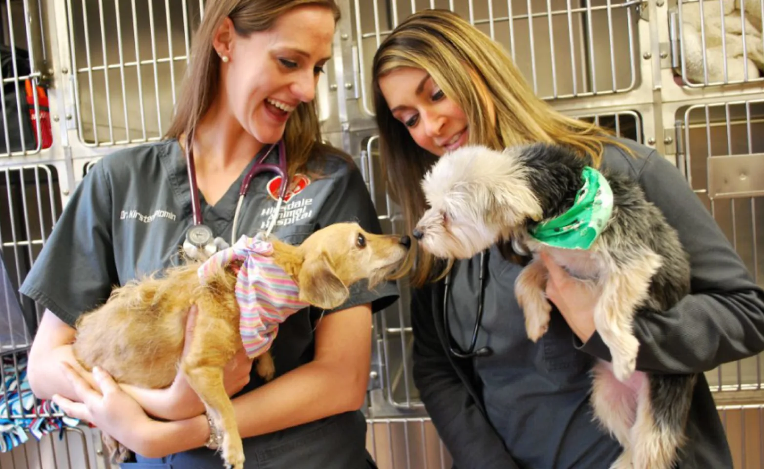 Staff smiling with dogs at Hinsdale Animal Hospital